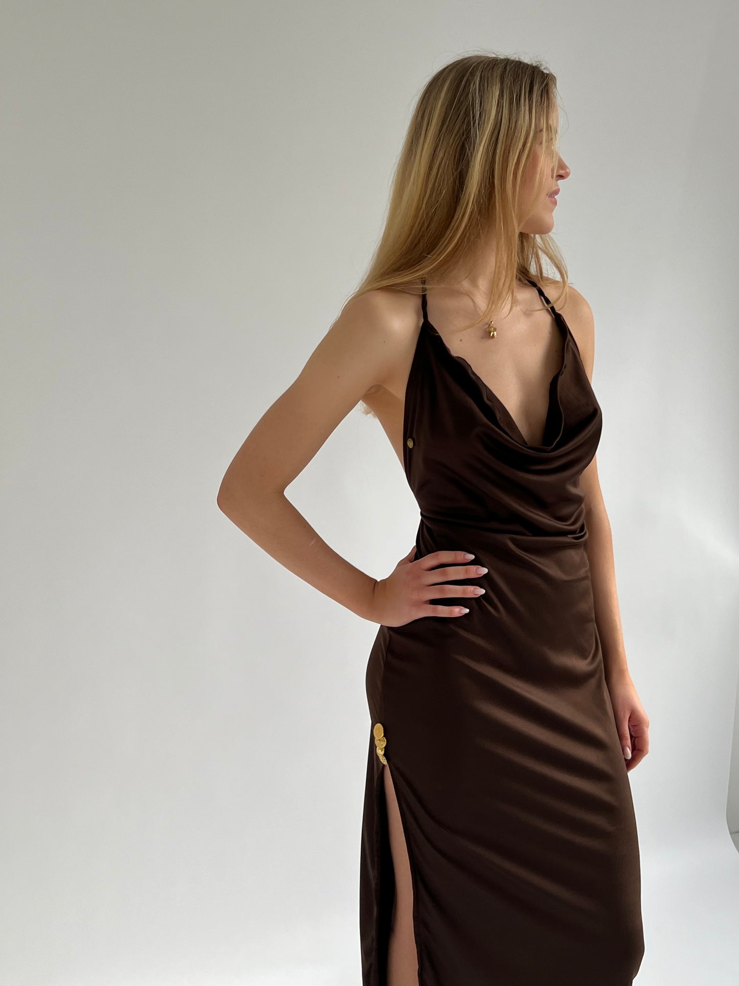 Bonheur Dress - Brown